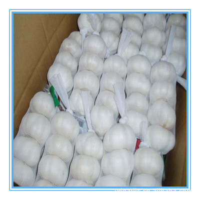 【供應(yīng)2013年優(yōu)質(zhì)出口級純白大蒜,各種規(guī)格,有自己工廠】價(jià)格,廠家,圖片,蔥姜蒜類,金鄉(xiāng)縣遠(yuǎn)大偉業(yè)進(jìn)出口貿(mào)易-